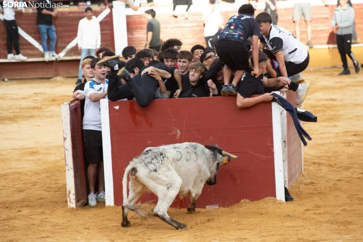 Vaquillas San Saturio 2026