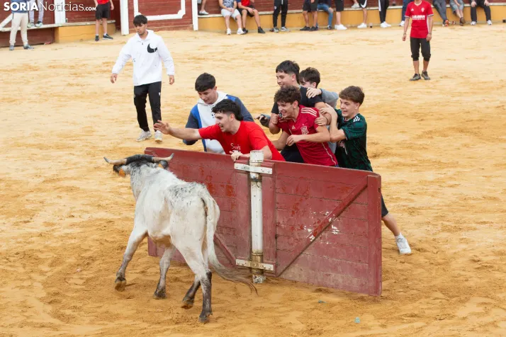 Vaquillas San Saturio 2026