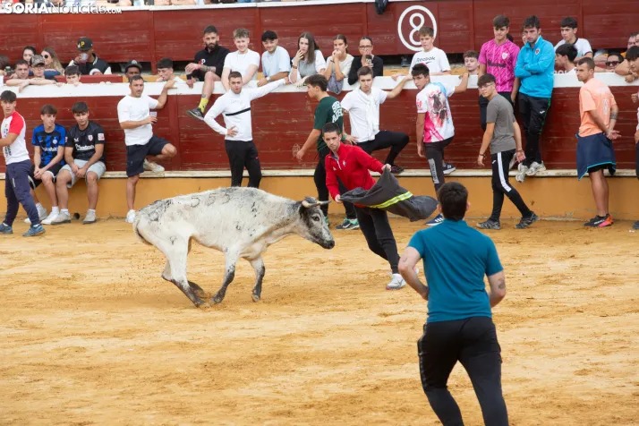 Vaquillas San Saturio 2026