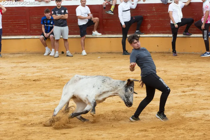 Vaquillas San Saturio 2026