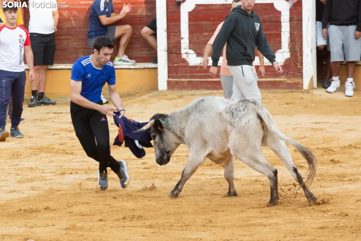 Vaquillas San Saturio 2026