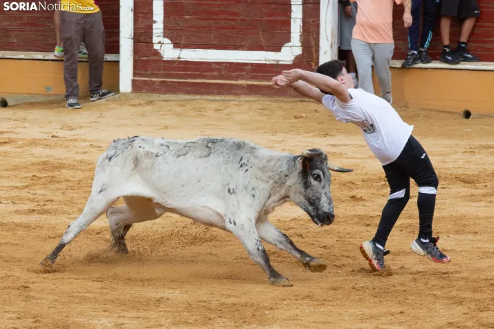 Vaquillas San Saturio 2026