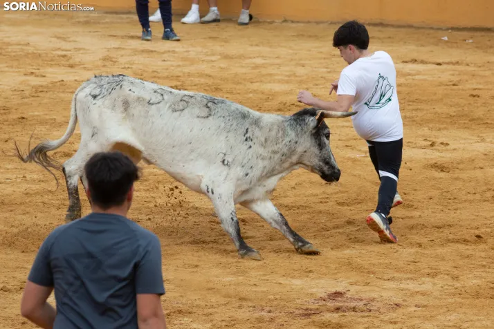Vaquillas San Saturio 2026