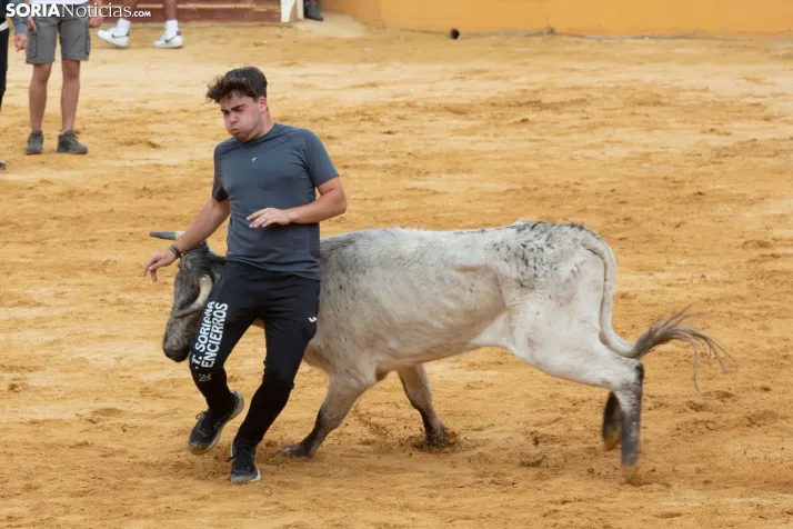 Vaquillas San Saturio 2026