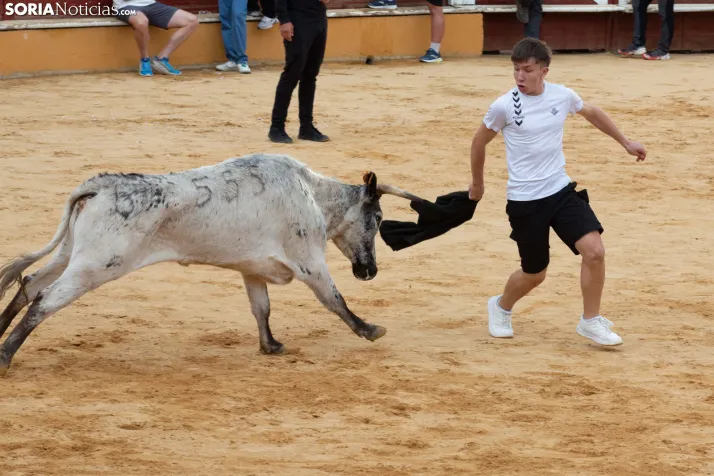 Vaquillas San Saturio 2026