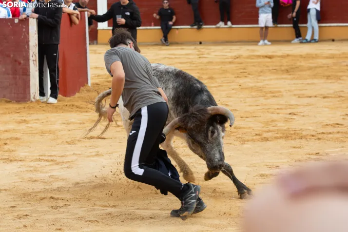 Vaquillas San Saturio 2026