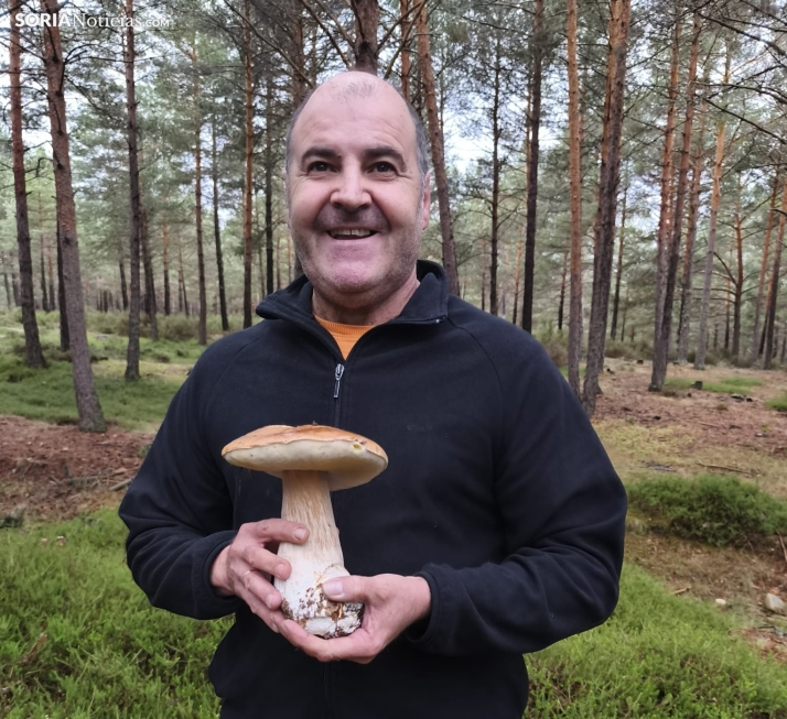 Un boletus de kilo y medio revoluciona los pinares de Abejar