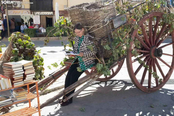 XXVIII Jornadas de la Vendimia Langa de Duero