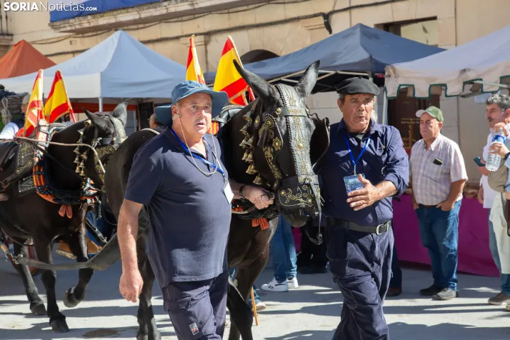XXVIII Jornadas de la Vendimia Langa de Duero