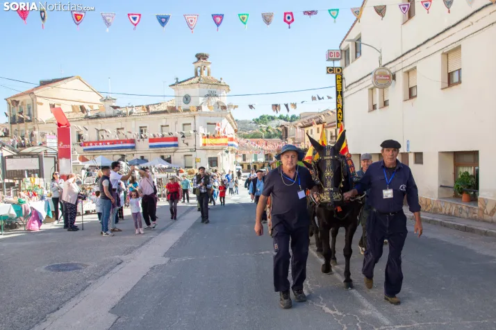 XXVIII Jornadas de la Vendimia Langa de Duero