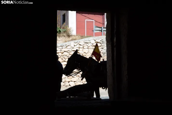XXVIII Jornadas de la Vendimia Langa de Duero