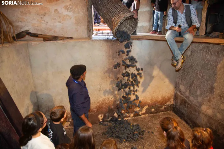 XXVIII Jornadas de la Vendimia Langa de Duero