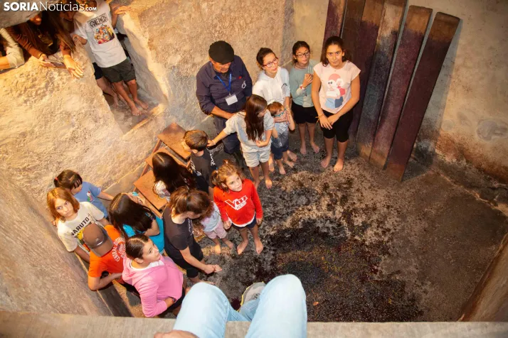 XXVIII Jornadas de la Vendimia Langa de Duero