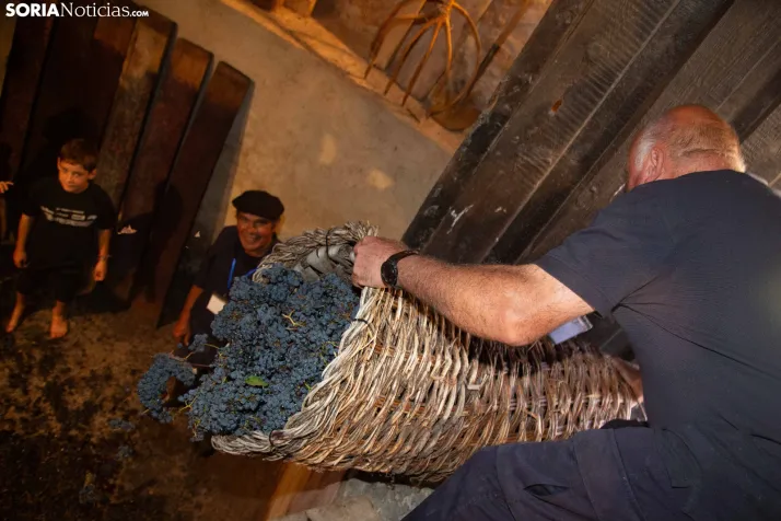 XXVIII Jornadas de la Vendimia Langa de Duero