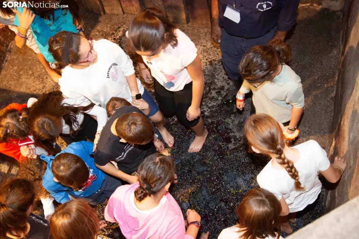 XXVIII Jornadas de la Vendimia Langa de Duero