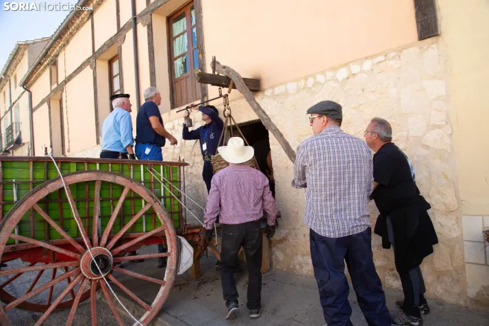 XXVIII Jornadas de la Vendimia Langa de Duero