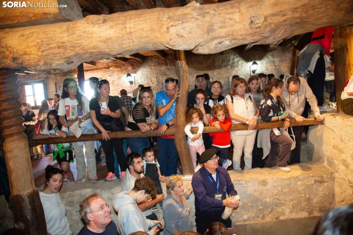 XXVIII Jornadas de la Vendimia Langa de Duero