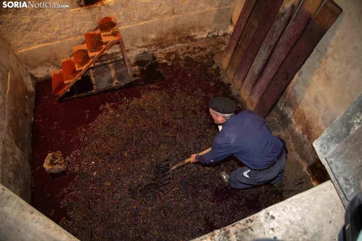 XXVIII Jornadas de la Vendimia Langa de Duero