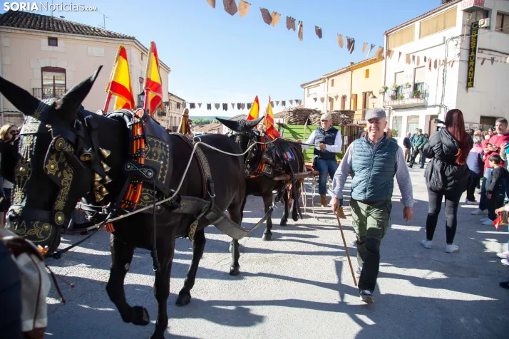 XXVIII Jornadas de la Vendimia Langa de Duero