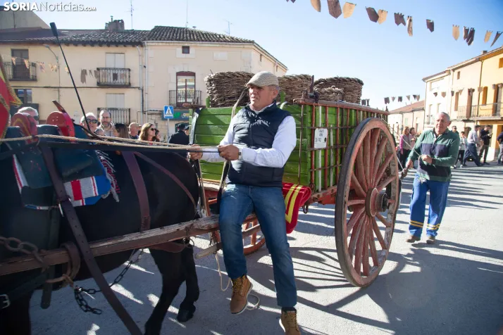 XXVIII Jornadas de la Vendimia Langa de Duero