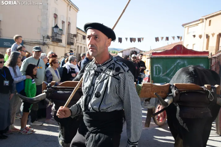 XXVIII Jornadas de la Vendimia Langa de Duero