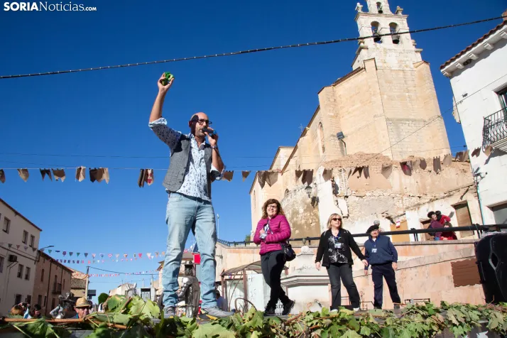 XXVIII Jornadas de la Vendimia Langa de Duero