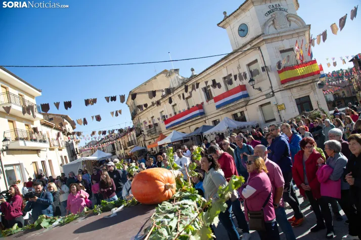 XXVIII Jornadas de la Vendimia Langa de Duero