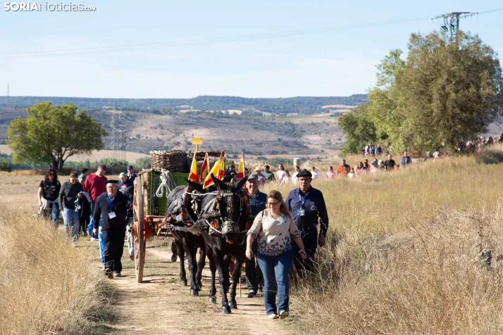 XXVIII Jornadas de la Vendimia Langa de Duero