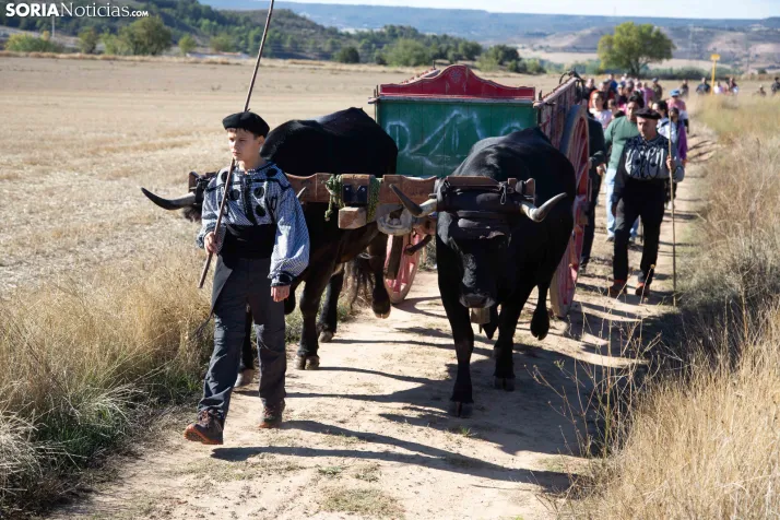 XXVIII Jornadas de la Vendimia Langa de Duero