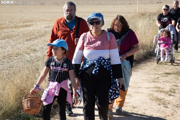 XXVIII Jornadas de la Vendimia Langa de Duero