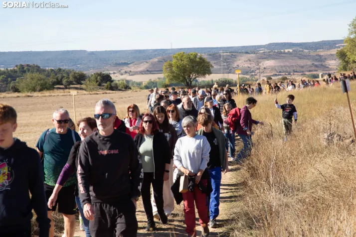 XXVIII Jornadas de la Vendimia Langa de Duero