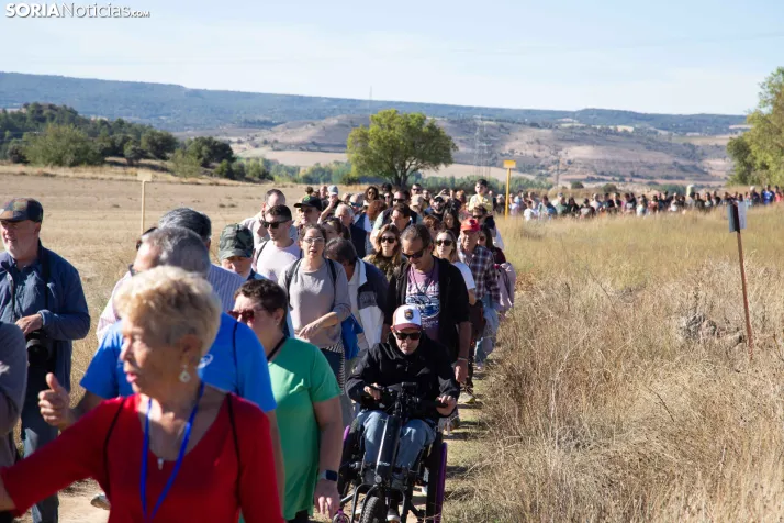 XXVIII Jornadas de la Vendimia Langa de Duero