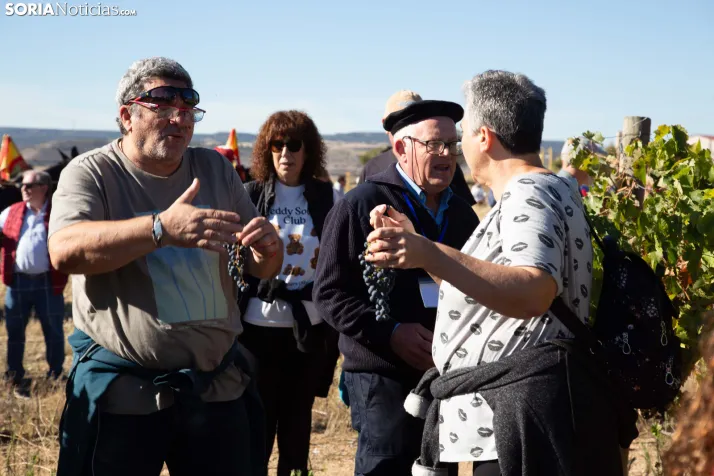 XXVIII Jornadas de la Vendimia Langa de Duero