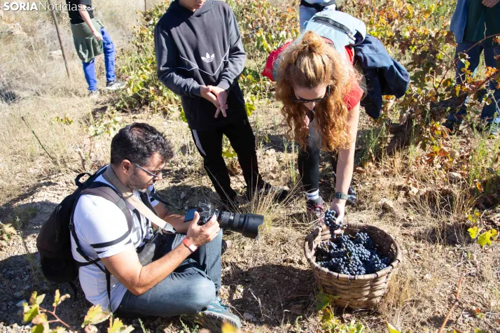 XXVIII Jornadas de la Vendimia Langa de Duero