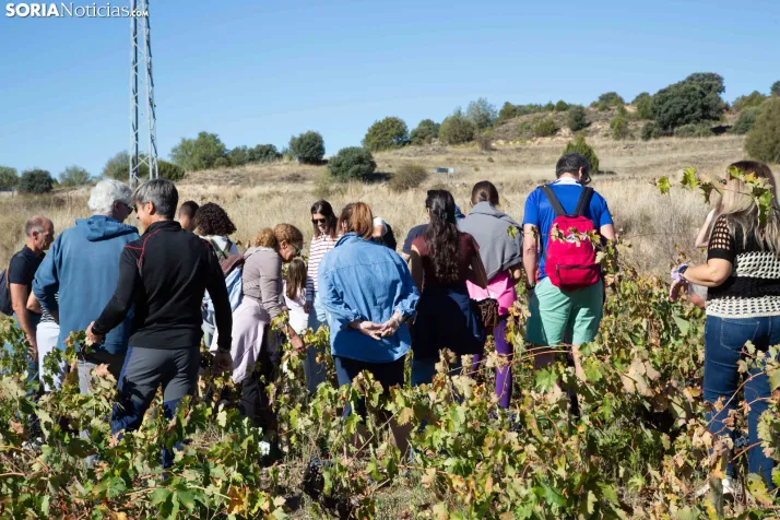 XXVIII Jornadas de la Vendimia Langa de Duero