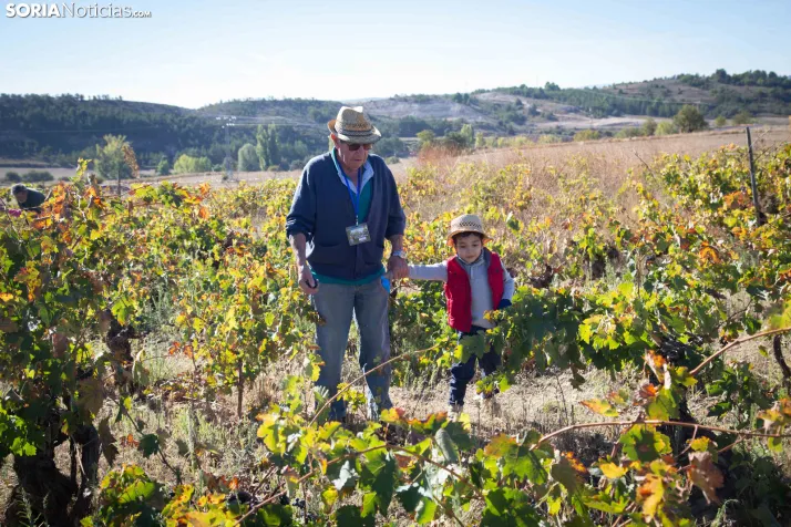 XXVIII Jornadas de la Vendimia Langa de Duero