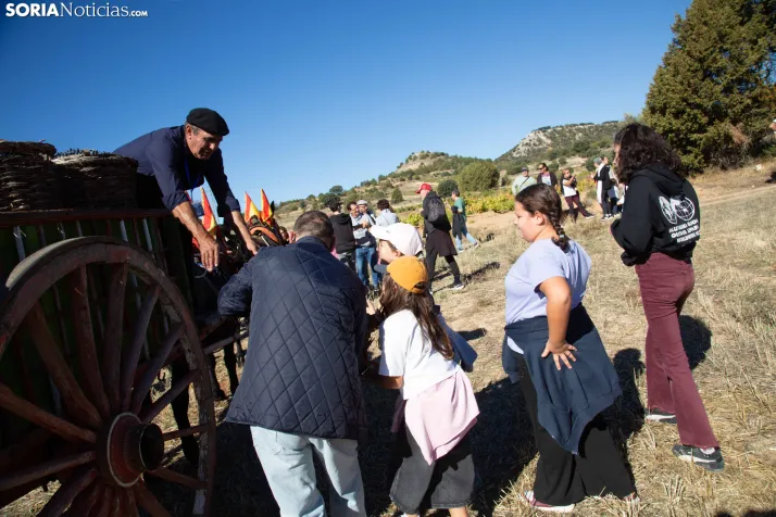 XXVIII Jornadas de la Vendimia Langa de Duero
