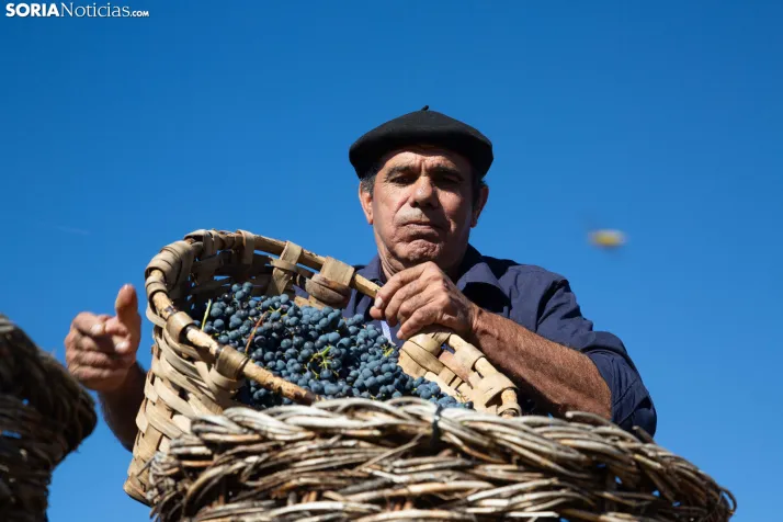 XXVIII Jornadas de la Vendimia Langa de Duero