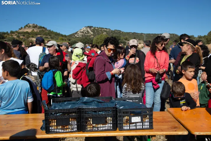 XXVIII Jornadas de la Vendimia Langa de Duero
