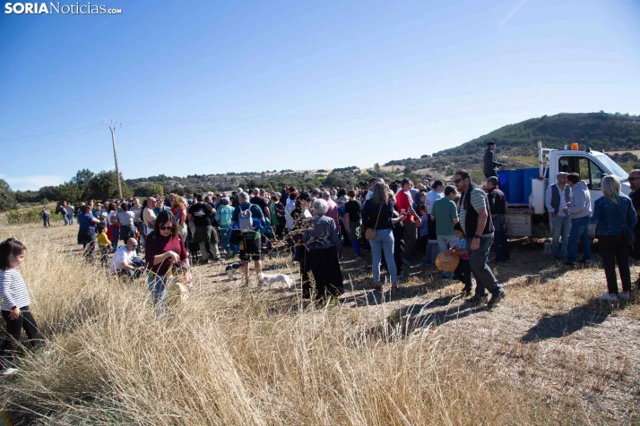 XXVIII Jornadas de la Vendimia Langa de Duero