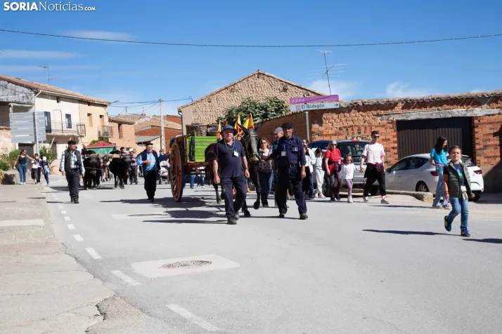 XXVIII Jornadas de la Vendimia Langa de Duero