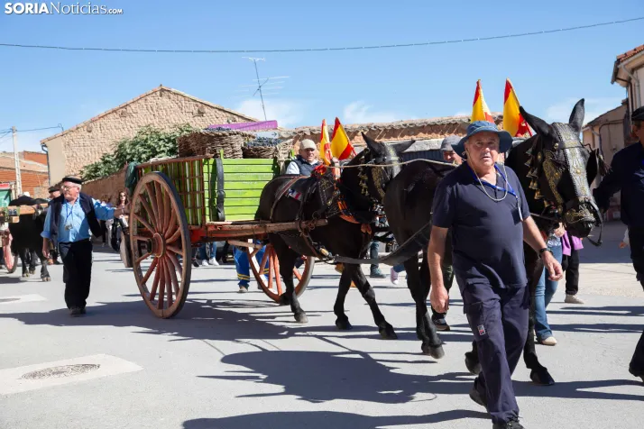 XXVIII Jornadas de la Vendimia Langa de Duero