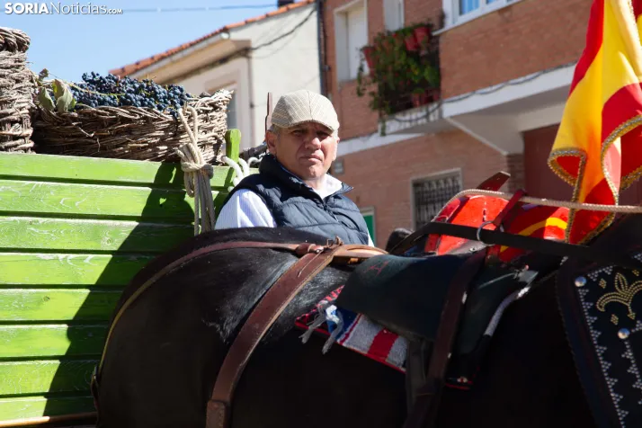 XXVIII Jornadas de la Vendimia Langa de Duero