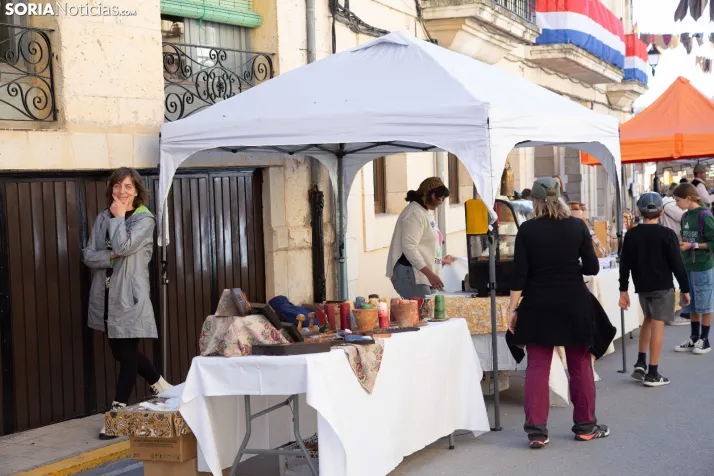 XXVIII Jornadas de la Vendimia Langa de Duero