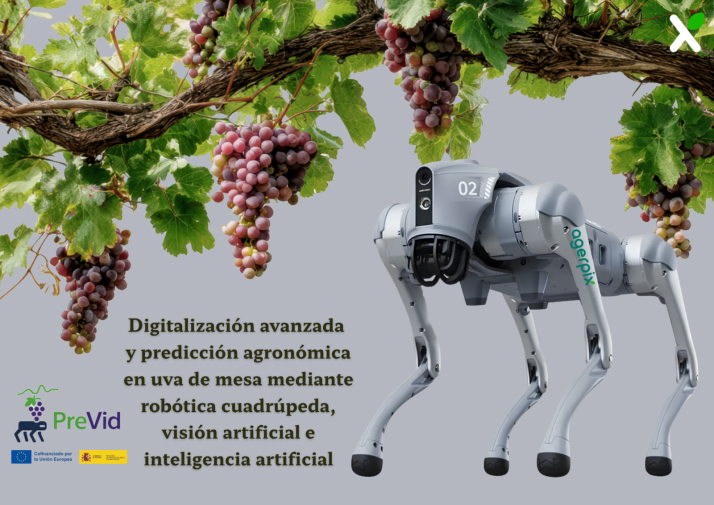 Agerpix mostrará en Fruit Attraction su robot para viñedos en parral