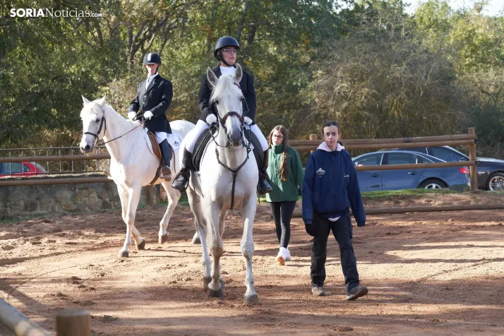 Nacional de Doma Clásica FEDDI 2026 /frangarciafoto