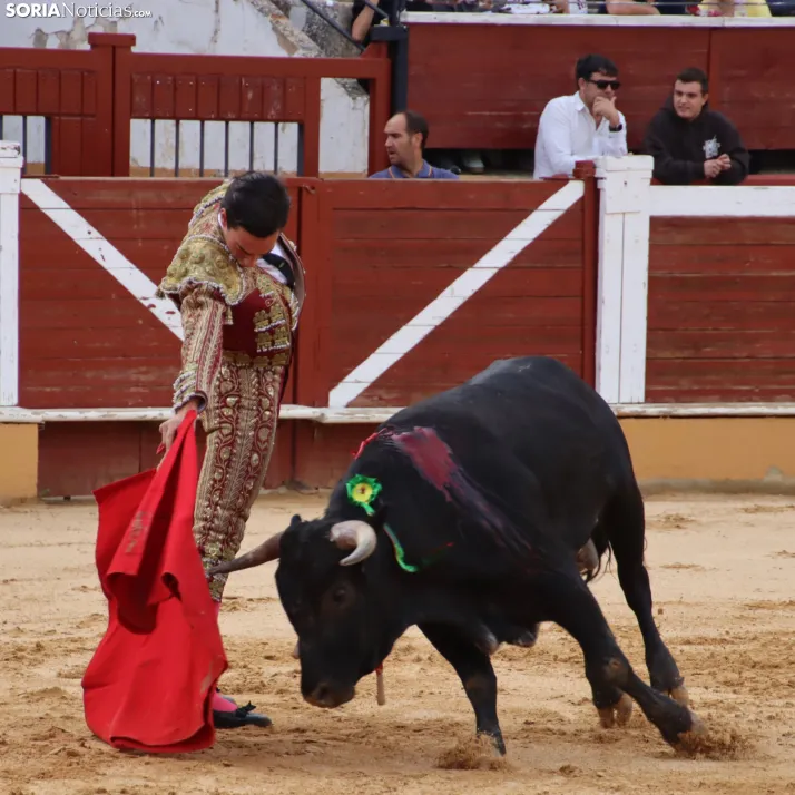 En im&aacute;genes: Jaime de Pedro se lleva el Memorial Redondo en un gran mano a mano ante David Espej&oacute