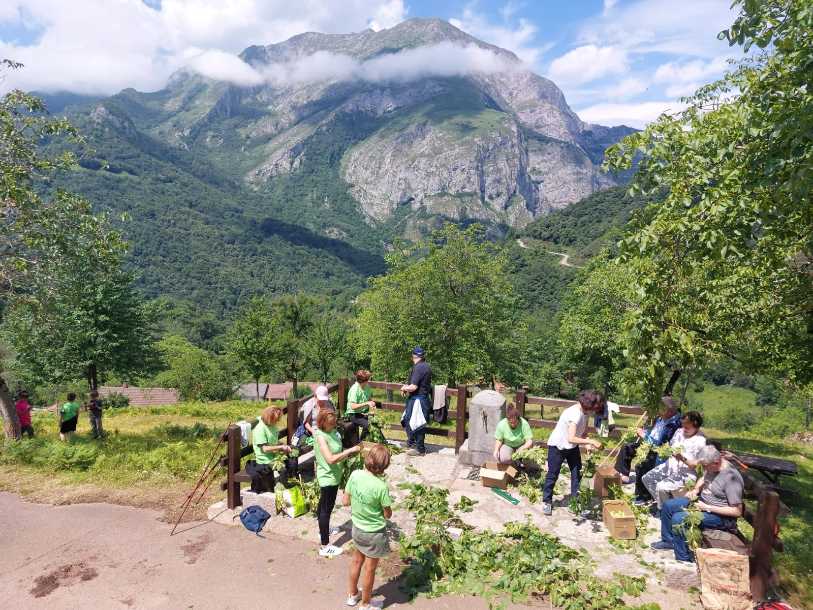 Voluntariado Ambiental en Castilla y León: Más de 115 actividades