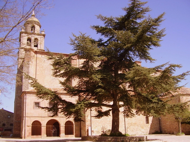 Turismo en Soria: &iquest;qu&eacute; ver en Medinaceli? | Imagen 8
