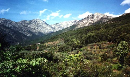 Cinco bosques m&aacute;gicos que visitar en Castilla y Le&oacute;n  | Imagen 3